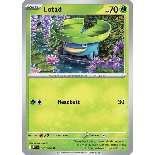Lotad (005/094) (ME02: Phantasmal Flames) - PokéBox Australia