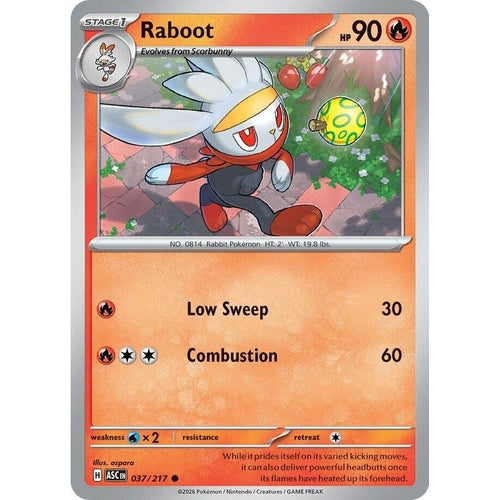 Image for Raboot (037/217) (ME: Ascended Heroes) - Pokemon