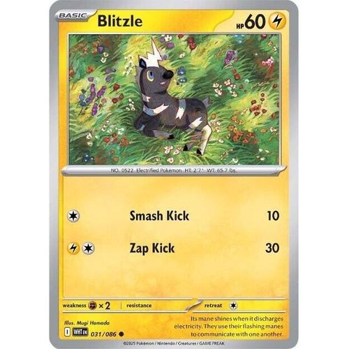 Blitzle (031/086) (SV: White Flare) - PokéBox Australia