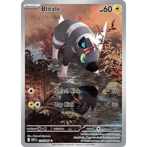 Blitzle (114/086) (SV: White Flare) - PokéBox Australia