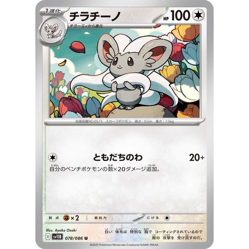Cinccino (078/086) (SV11B: Black Bolt) - PokéBox Australia