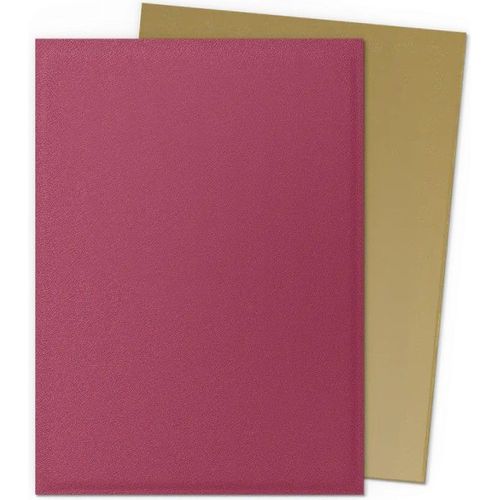 Dragon Shield - Standard Dual Matte - Anniversary Special Edition: Red Gold - PokéBox Australia