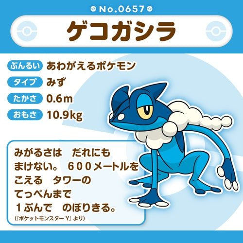 Frogadier 657 - Pokémon Centre Fit Plush - PokéBox Australia