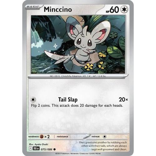 Minccino (075/086) (SV: Black Bolt) - PokéBox Australia
