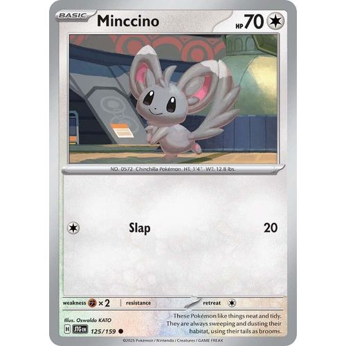 Minccino (125/159) (SV09: Journey Together) - PokéBox Australia