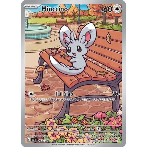 Minccino (152/086) (SV: Black Bolt) - PokéBox Australia
