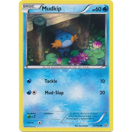 Mudkip - 33/160 (Sheen Holo) (033/160) (Miscellaneous Cards & Products) - PokéBox Australia