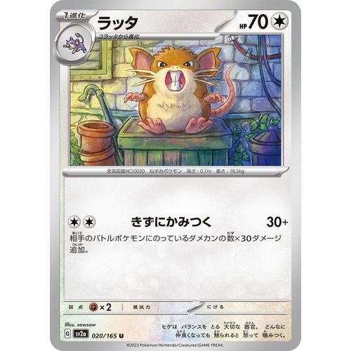 Raticate (020/165) (SV2a: Pokemon Card 151) - PokéBox Australia