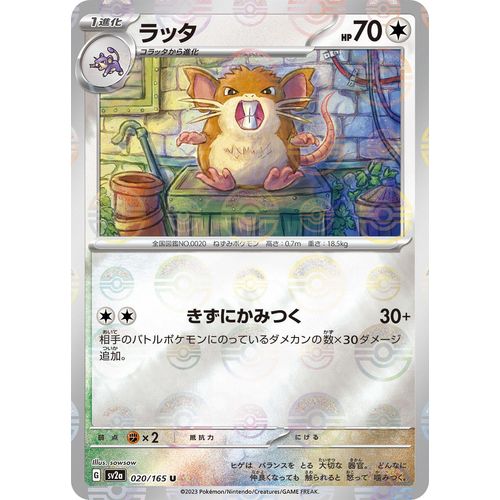 Raticate (Poke Ball Pattern) (020/165) (SV2a: Pokemon Card 151) - PokéBox Australia