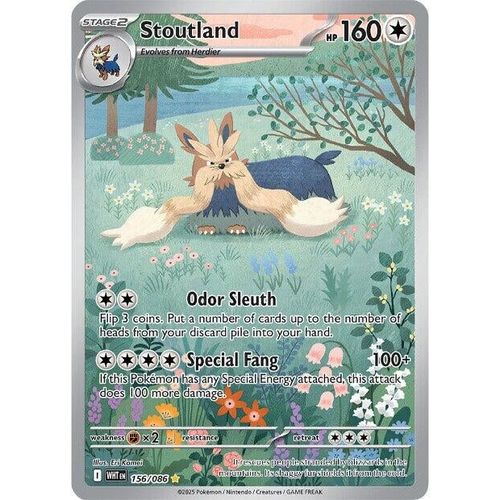 Stoutland (156/086) (SV: White Flare) - PokéBox Australia