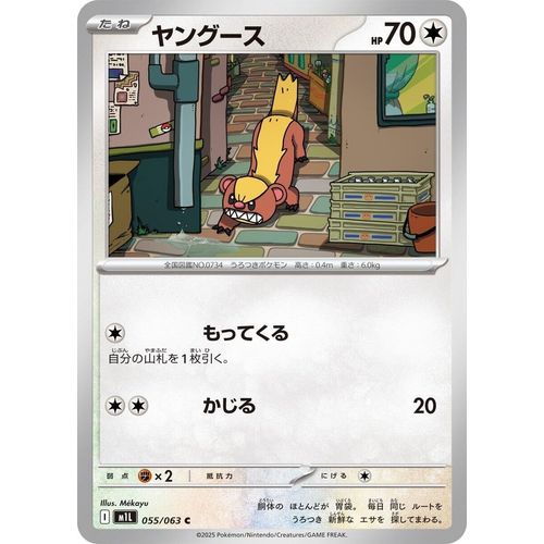 Yungoos (055/063) (m1L: Mega Brave) - PokéBox Australia
