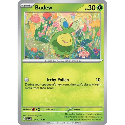 Image for Budew (016/217) (ME: Ascended Heroes) - Pokemon