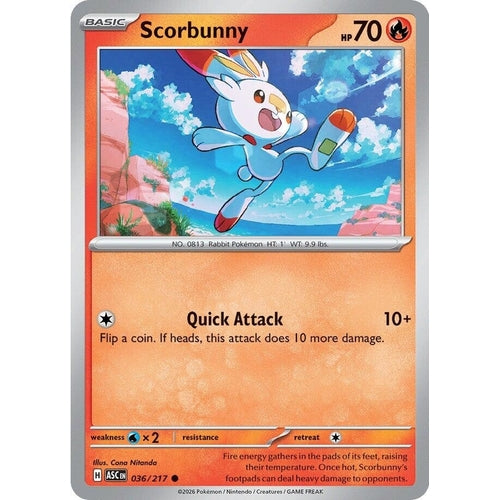 Image for Scorbunny (036/217) (ME: Ascended Heroes) - Pokemon