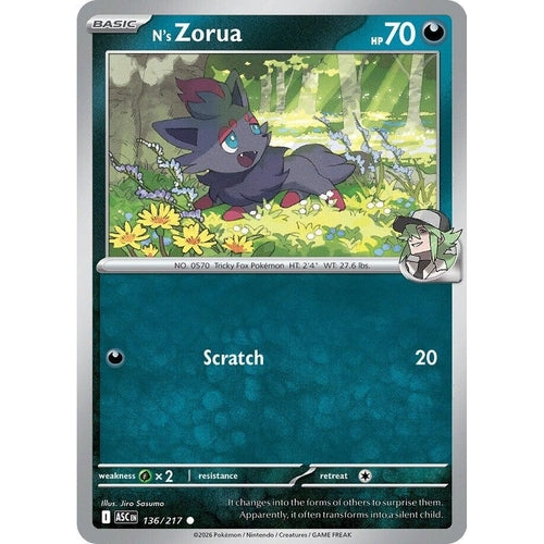 Image for N's Zorua (136/217) (ME: Ascended Heroes) - Pokemon