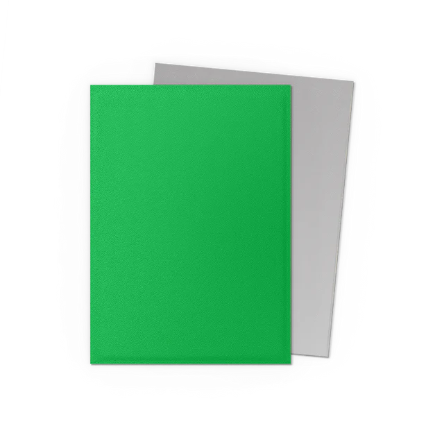 Dragon Shield: Sleeves – Matte Dual – Apple Green & Silver
