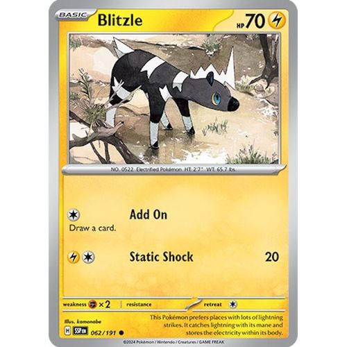 Blitzle (062/191) [SV08: Surging Sparks] - PokéBox Australia