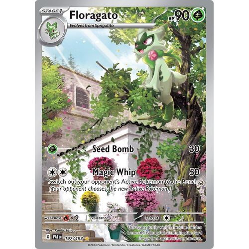 Floragato (197/193) [SV02: Paldea Evolved] - PokéBox Australia