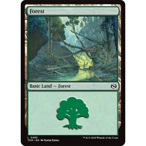 Forest (0285) (285) (Tarkir: Dragonstorm) - PokéBox Australia