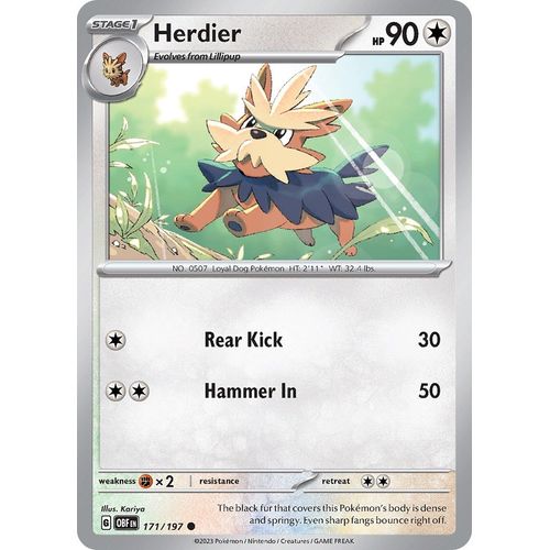 Herdier (171/197) [SV03: Obsidian Flames] - PokéBox Australia