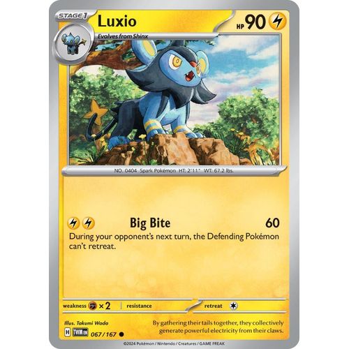 Luxio (067/167) [SV06: Twilight Masquerade] - PokéBox Australia