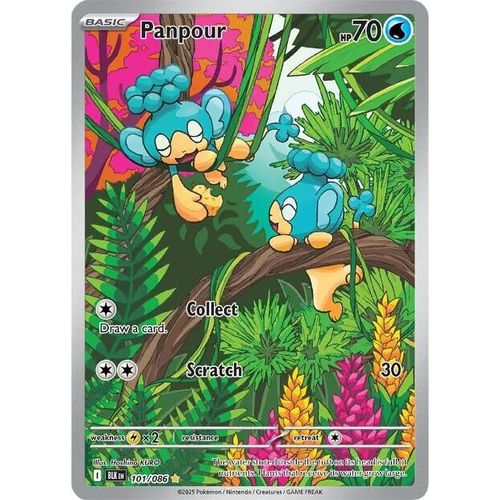 Panpour (101/086) (SV: Black Bolt) - PokéBox Australia