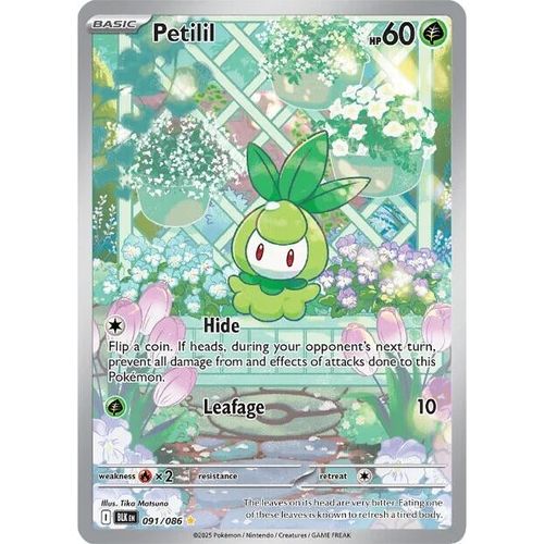 Petilil (091/086) (SV: Black Bolt) - PokéBox Australia
