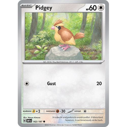 Pidgey (162/197) [SV03: Obsidian Flames] - PokéBox Australia