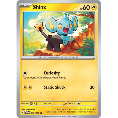 Shinx (066/167) [SV06: Twilight Masquerade] - PokéBox Australia