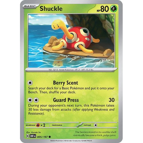 Shuckle (005/197) [SV03: Obsidian Flames] - PokéBox Australia