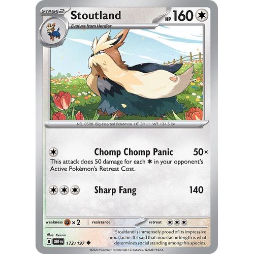 Stoutland (172/197) [SV03: Obsidian Flames] - PokéBox Australia
