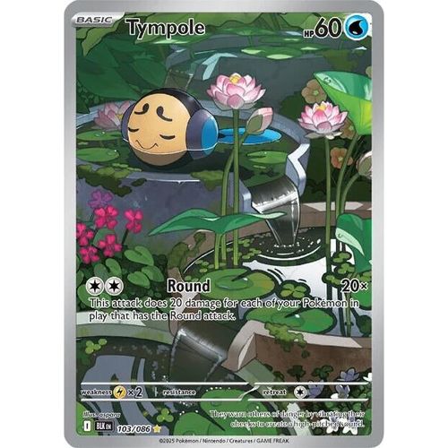 Tympole (103/086) (SV: Black Bolt) - PokéBox Australia