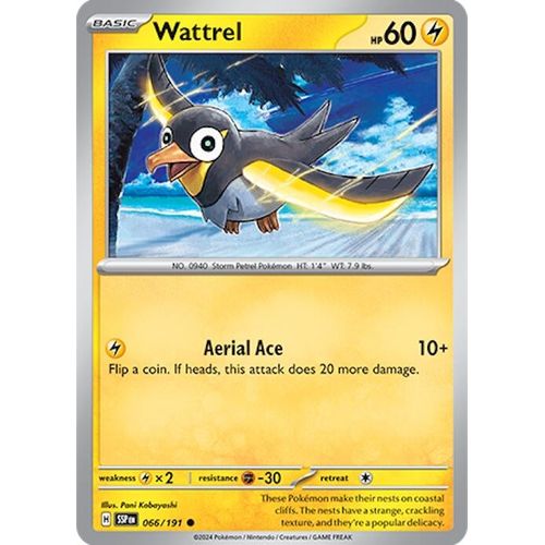 Wattrel (066/191) [SV08: Surging Sparks] - PokéBox Australia