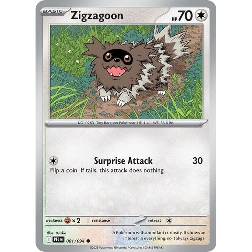 Zigzagoon (081/094) (ME02: Phantasmal Flames) - PokéBox Australia