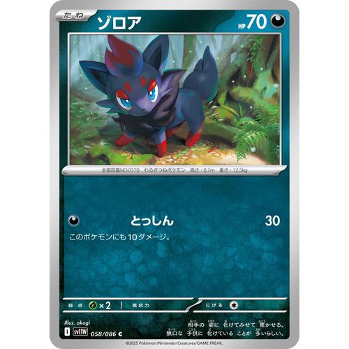 Zorua (058/086) (SV11W: White Flare) - PokéBox Australia
