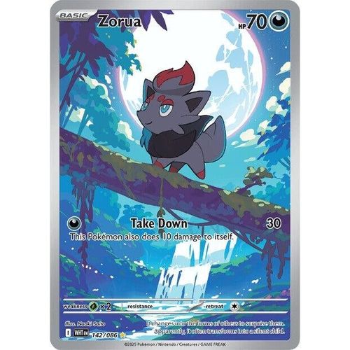 Zorua (142/086) (SV: White Flare) - PokéBox Australia